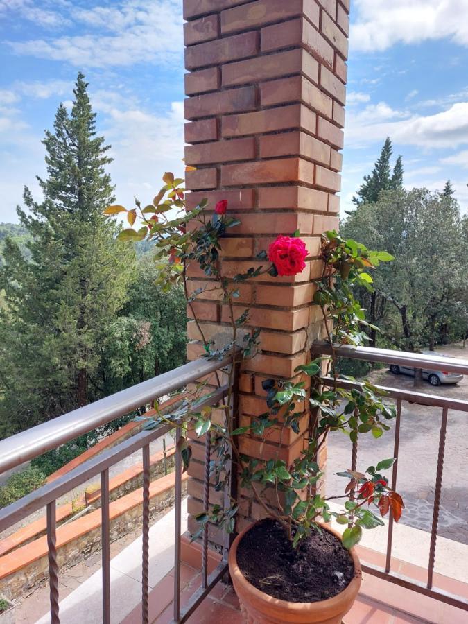 Casa Bruna - Cipresseta Del Chianti Кастелина ин Шианти Экстерьер фото
